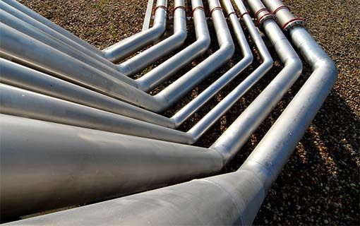 WhatsApp Image 2022-11-14 at 4.06.01 PM (2)